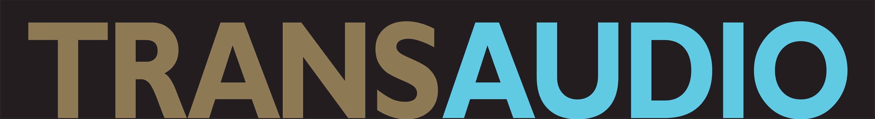 TransAudio Group logo